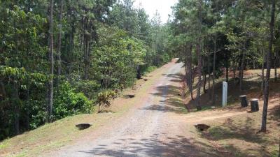 90241 - Cerro azul - lotes - altos de cerro azul