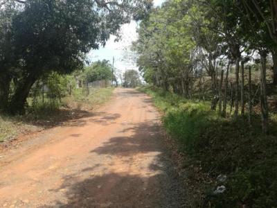 90349 - La Chorrera - lotes