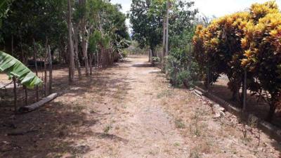 90436 - Punta chame - lots