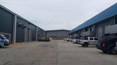 90726 - Tocumen - warehouses - tocumen office storage