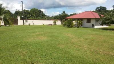 91221 - Punta chame - lots