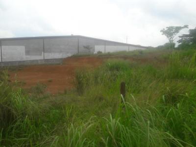 92285 - La Chorrera - lotes