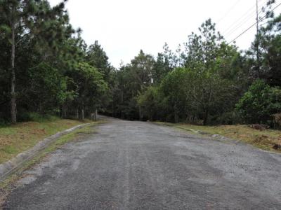 92635 - Tocumen - lotes - altos de cerro azul