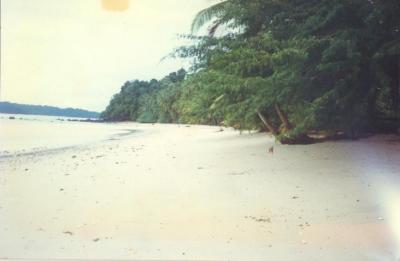 93334 - Veraguas - lots