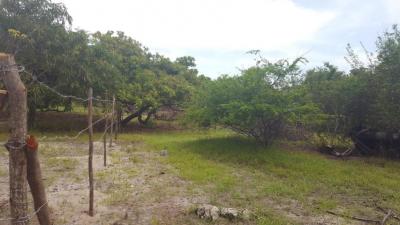 93343 - Punta chame - lotes