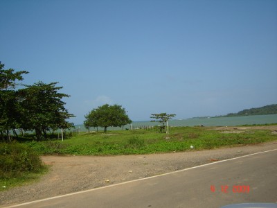 940 - Portobelo - lots